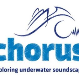 Chorus